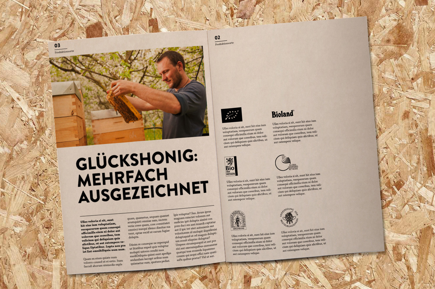 broschüre innenseiten gestaltung