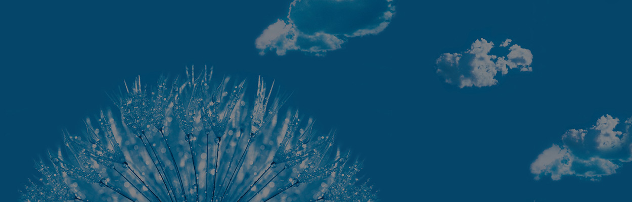 titelmotiv buchgestaltung vip3000