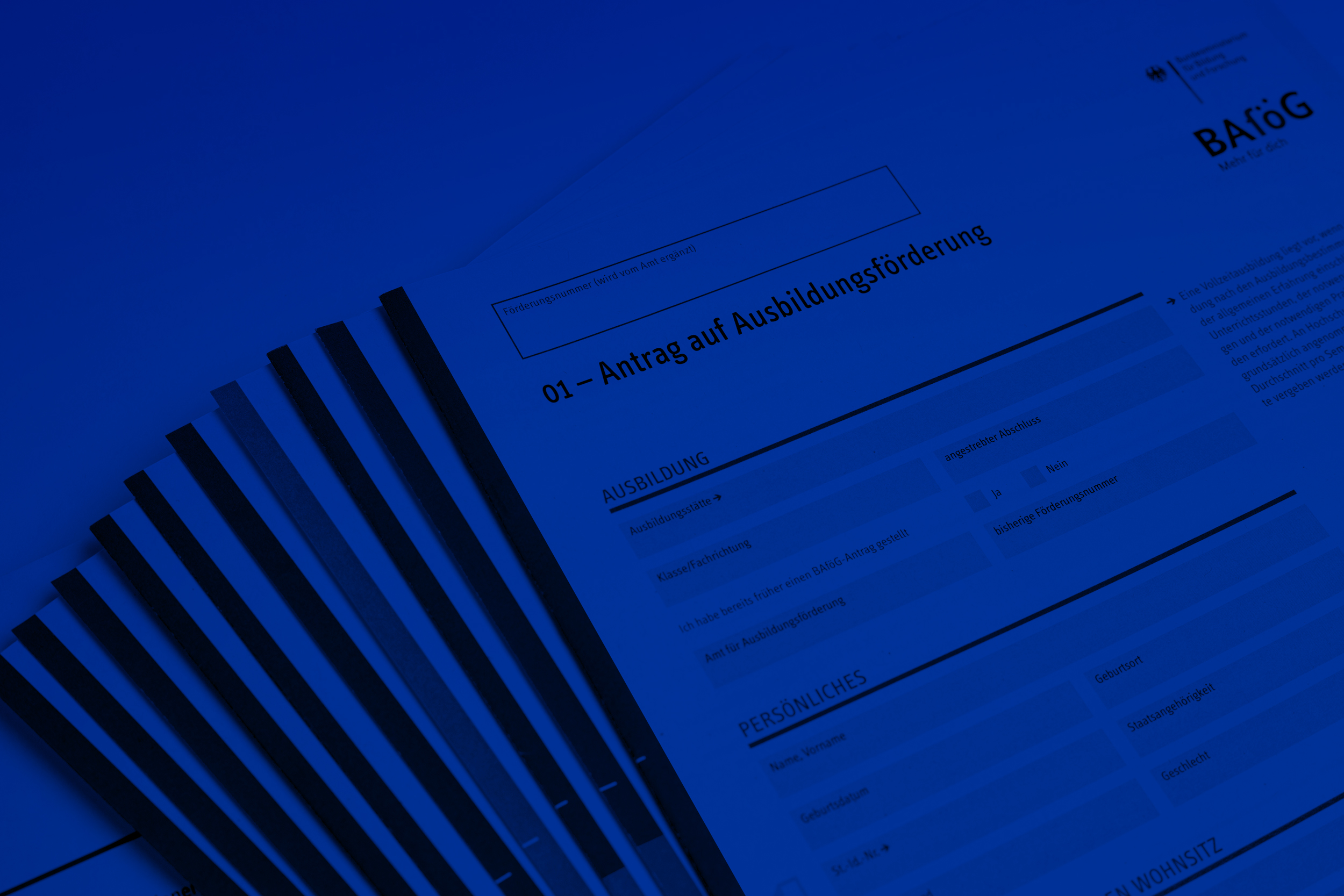Fotografie Projektübersicht Corporate Design Printdesign